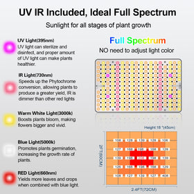 FECiDA grow light helps bloom with balanced spectrum