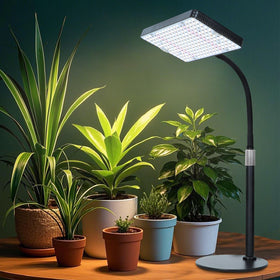 FECiDA compact desk grow light for indoor gardening setups