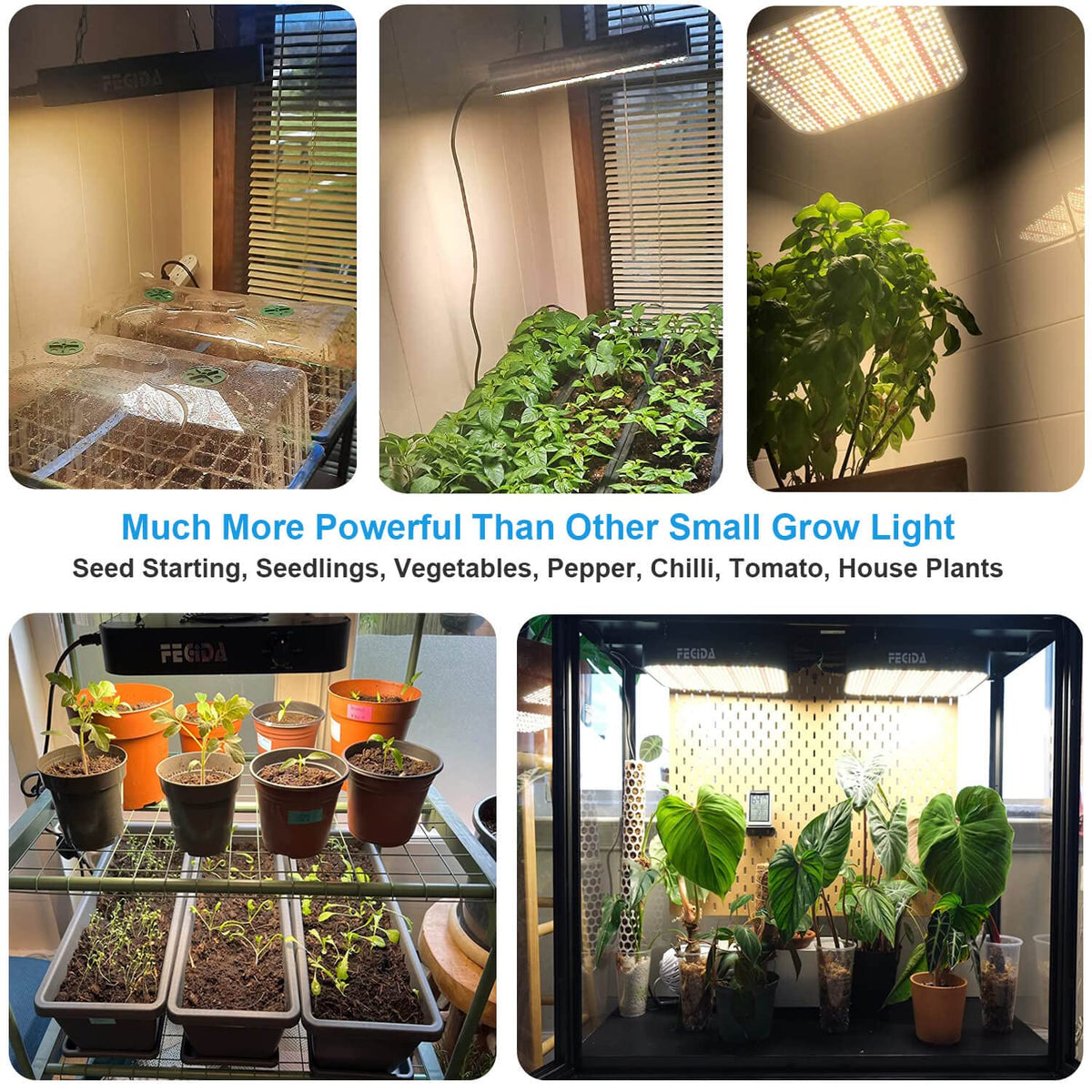 Low-noise cooling fan assembly on the FECiDA grow light for quiet use