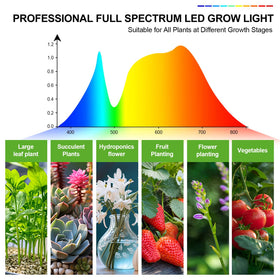 FECiDA seed starting grow light supports early germination and growth.