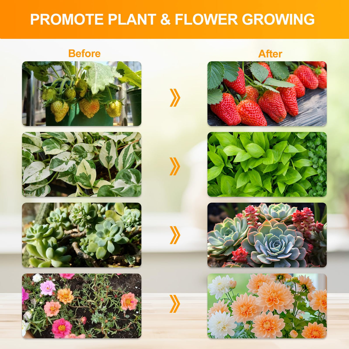 Height range 24–64 inches adapts to different plant sizes.
