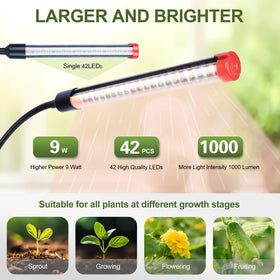 FECiDA timer feature enables automatic on/off with 4/8/12 hours.