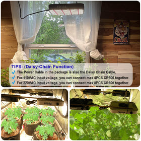 Seedling to bloom spectrum in action with FECiDA for robust plant growth