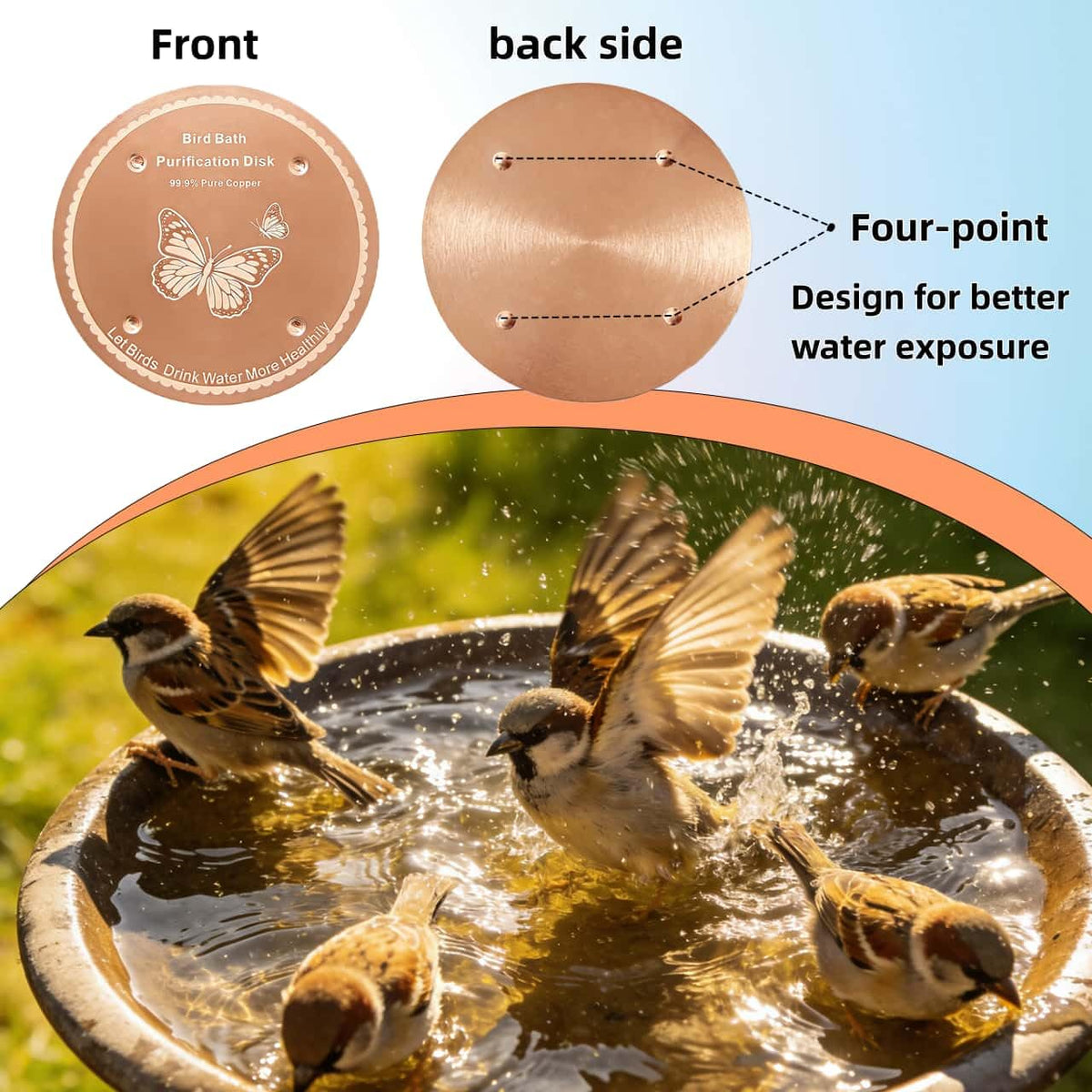 FeciFeco passivated copper disc shown in a non-metallic outdoor bird bath.