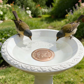 FeciFeco all-season use copper purifier helps maintain clearer water year-round.