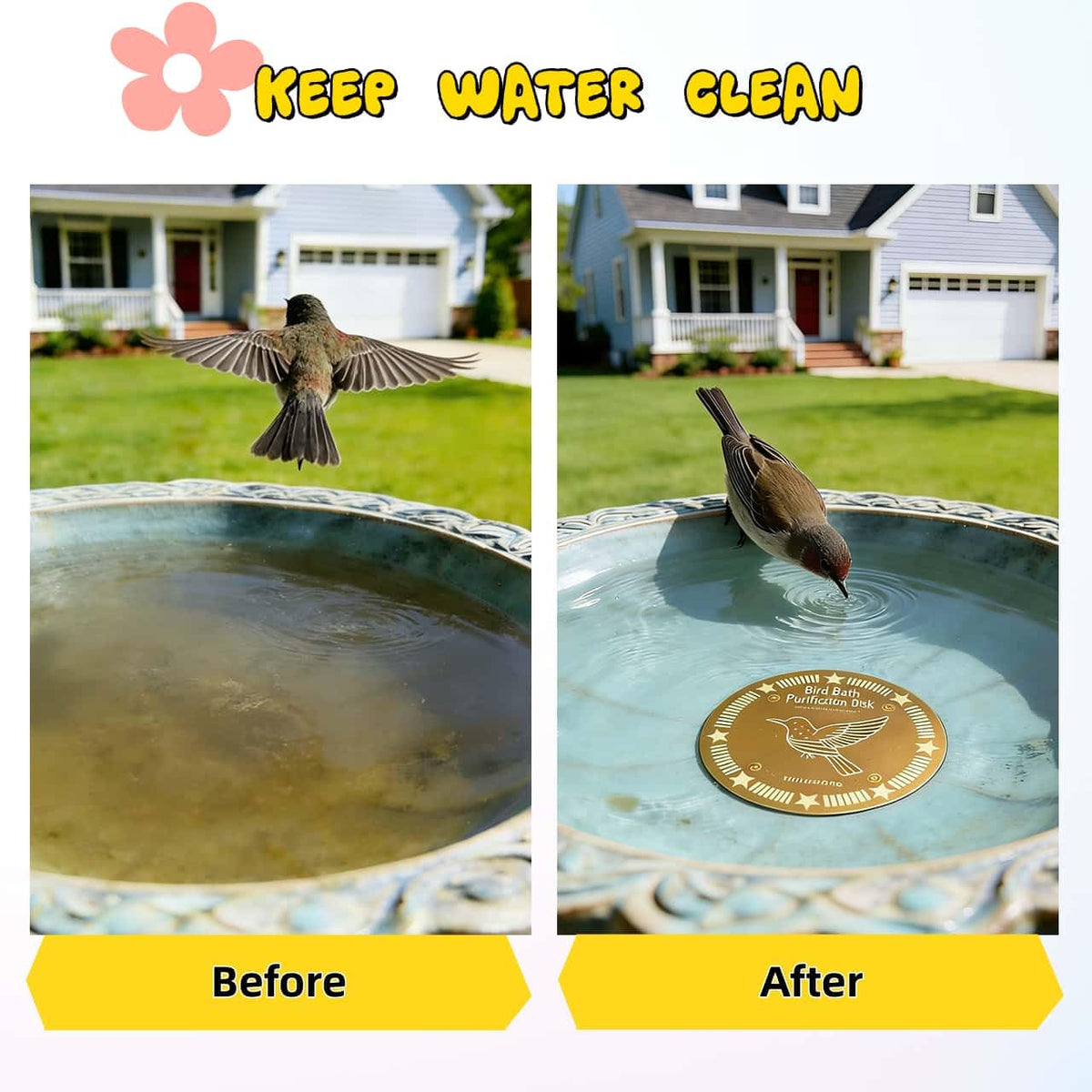 FeciFeco copper disc installed in a bird bath ensuring stable placement.