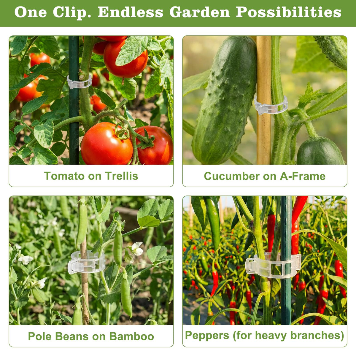 FEED GARDEN reusable clips reduce waste and keep plants tidy.