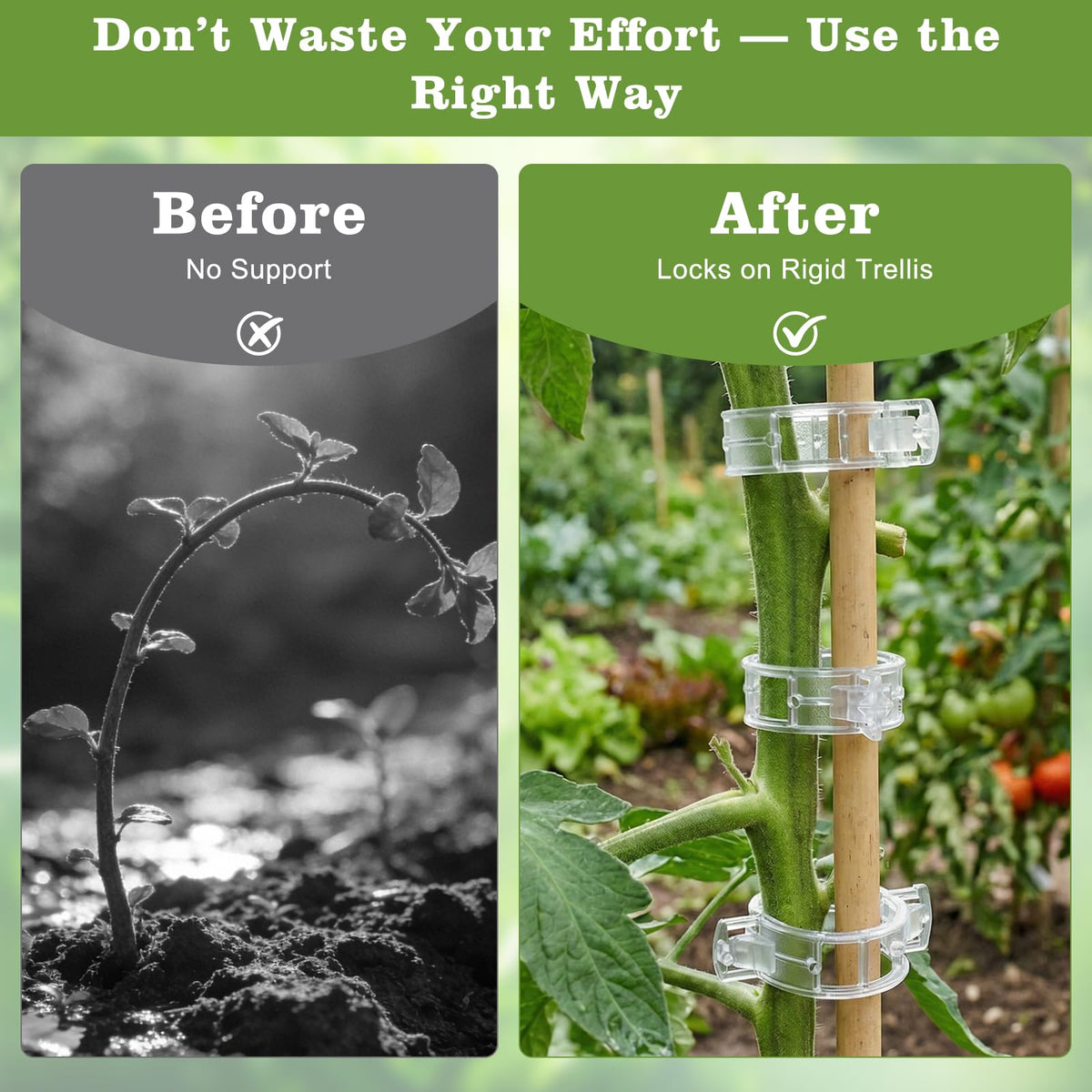 FEED GARDEN clips with smooth edges protect delicate stems.