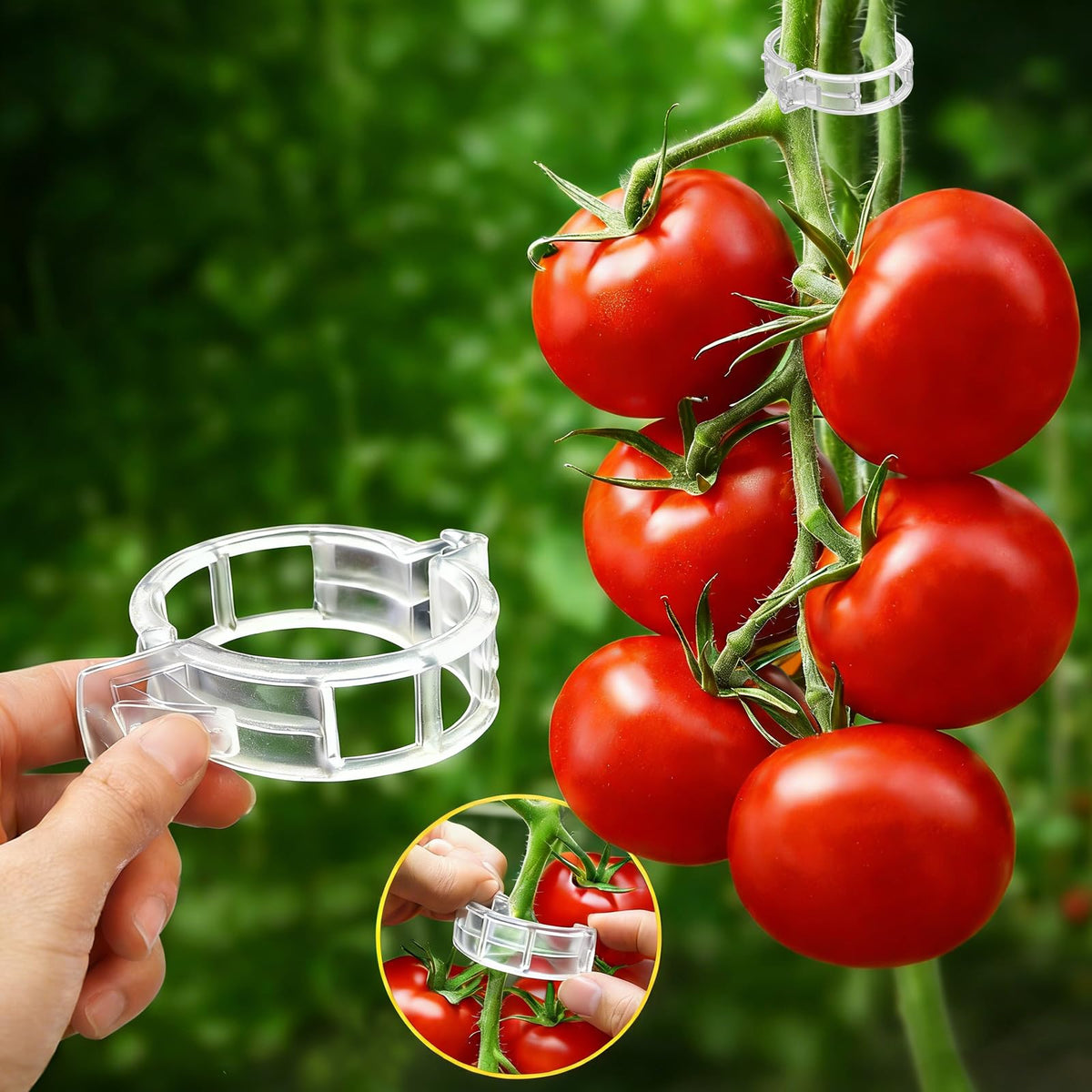 FEED GARDEN 120Pcs Plant Clips secure tomato vines for reliable support.