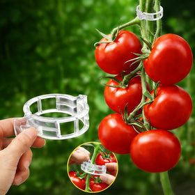 FEED GARDEN 120Pcs Plant Clips secure tomato vines for reliable support.