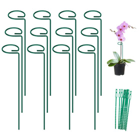 FEED GARDEN 16-inch plant stake stabilizes stems for upright growth.