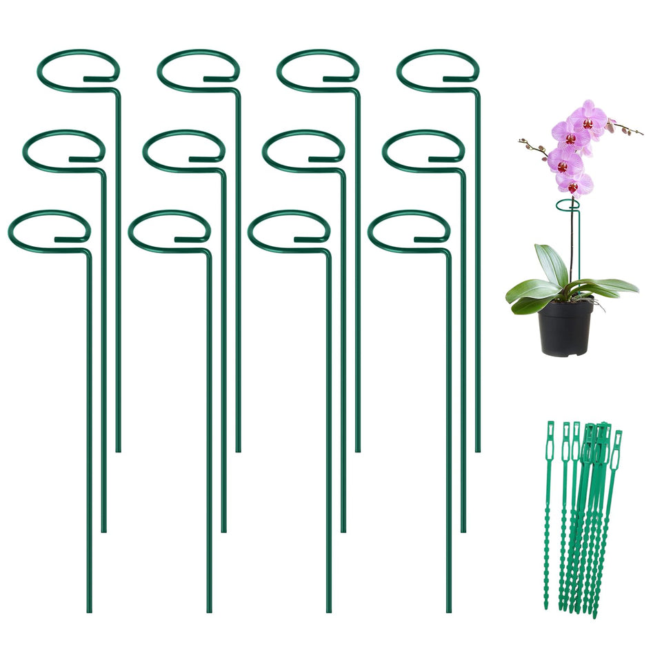 FEED GARDEN 16-inch plant stake stabilizes stems for upright growth.