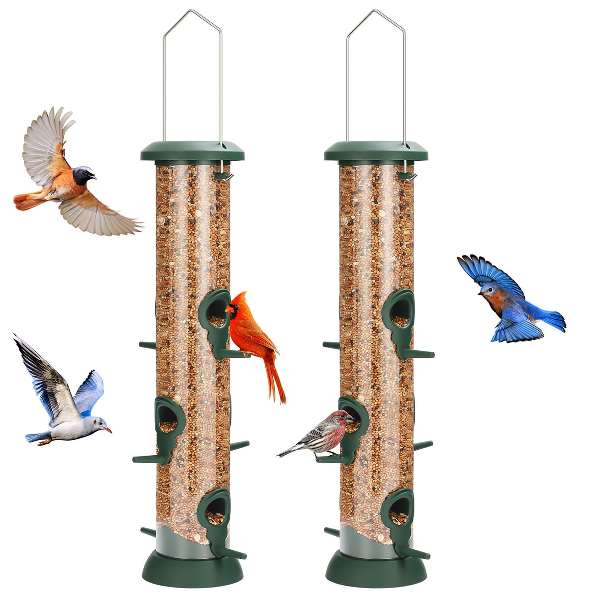 FEED GARDEN 2-pack tube bird feeders attract multiple species to two sites.