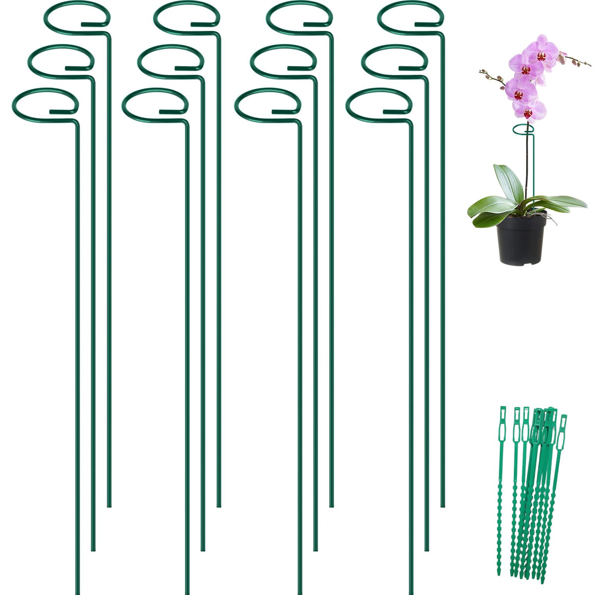 FEED GARDEN 36-inch stake kit supports multiple plants in the garden.