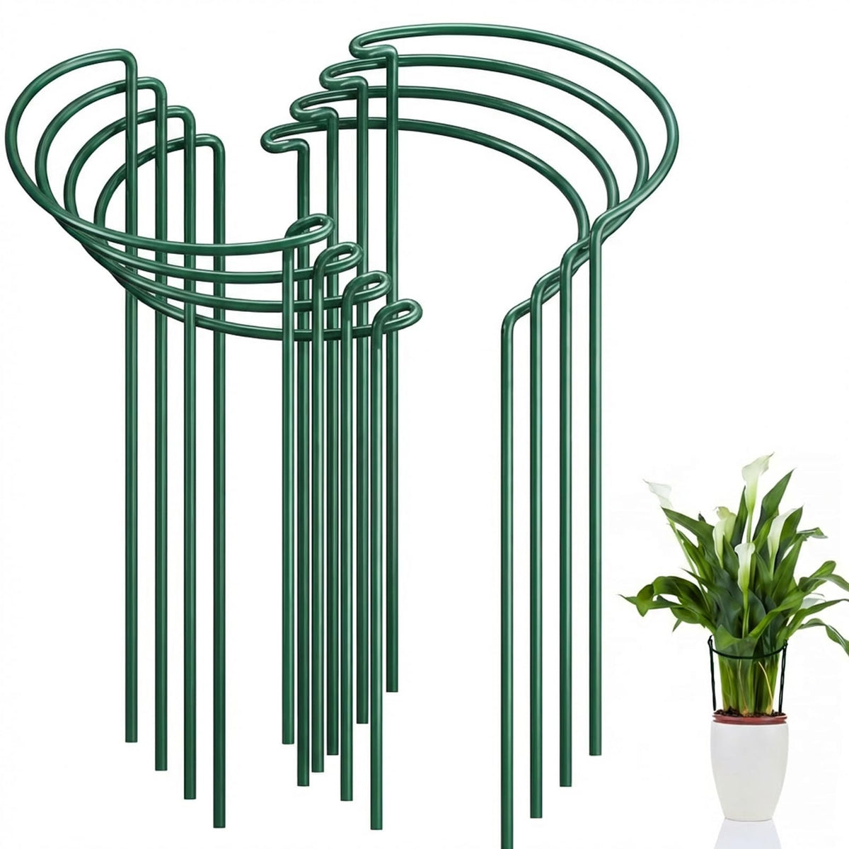 FEED GARDEN 8-pack plant stakes half-round setup supports plants upright and keeps borders tidy