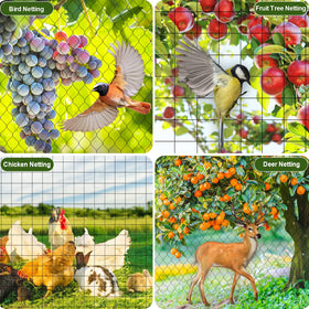FEED GARDEN bird and small-pest netting protecting a vegetable patch