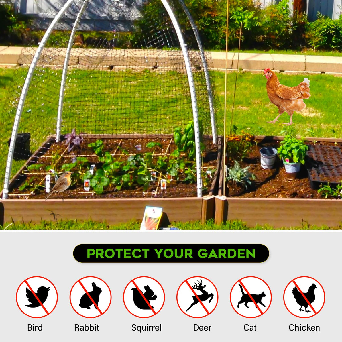 FEED GARDEN protected fruit trees shows netting coverage for fruit trees