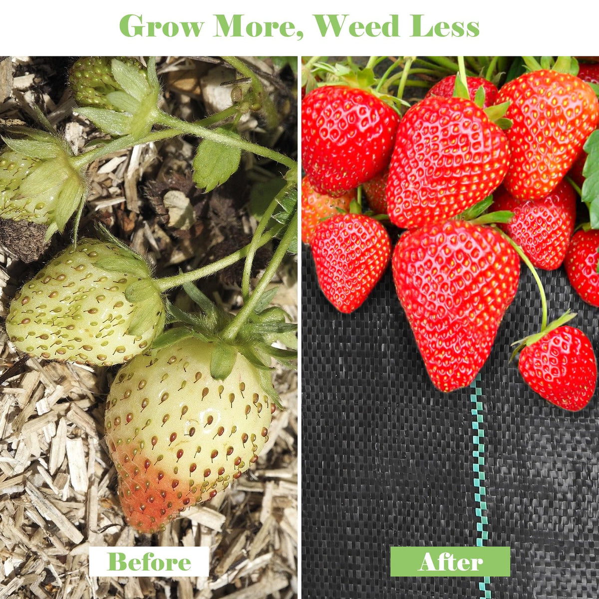 FEED GARDEN versatile applications for gardens, lawns, and beds.