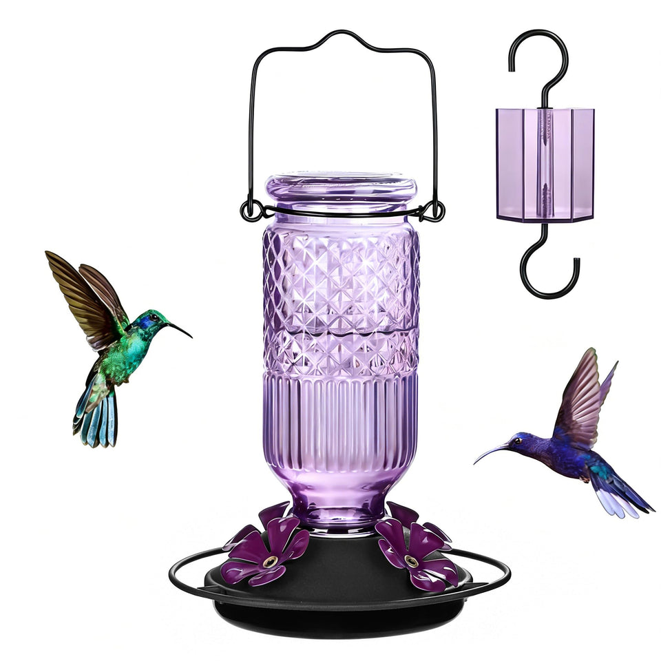 FEED GARDEN Glass Hummingbird Feeder with bee-protection ports for pest-free feeding