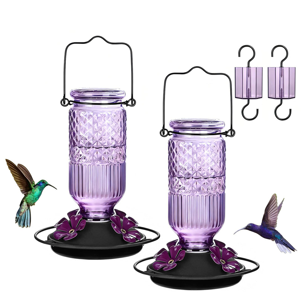 FEED GARDEN glass hummingbird feeder with bee guard ports for tidy nectar