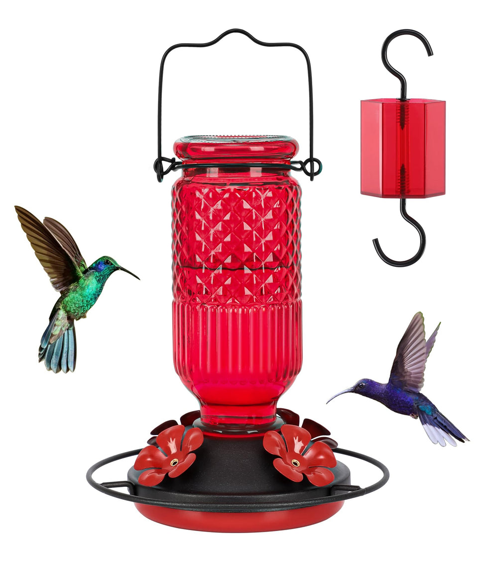 FEED GARDEN Glass Hummingbird Feeder with 16oz capacity and red finish for easy nectar monitoring.