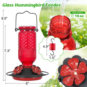 FEED GARDEN glass hummingbird feeder ant moat keeps pests away while feeding.