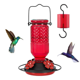 FEED GARDEN glass hummingbird feeder durable outdoor decoration for year-round use.