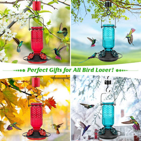 FEED GARDEN glass hummingbird feeder sturdy perches support several hummingbirds at once.