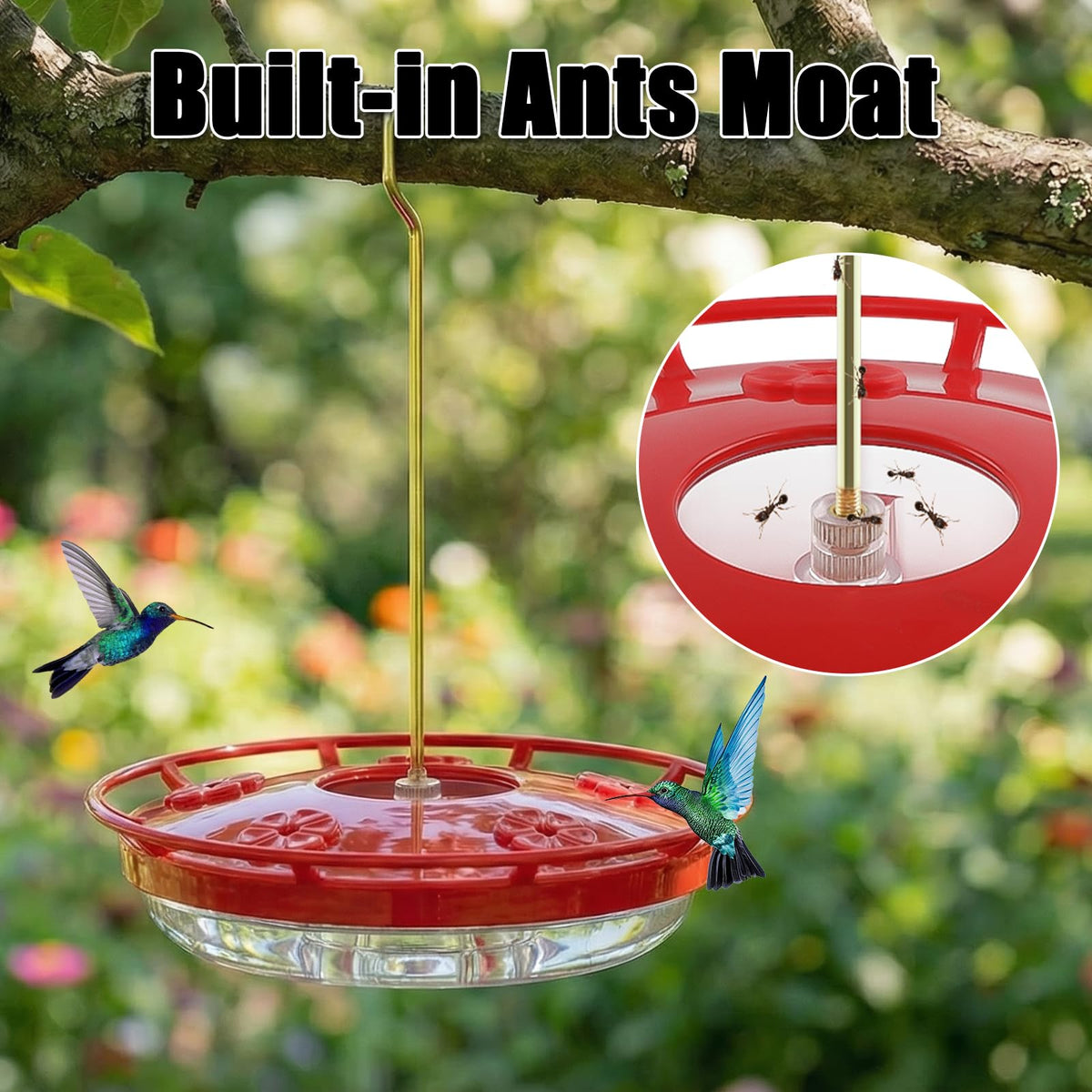 FEED GARDEN hummingbird feeder dish-style view showing stable base for steady visits