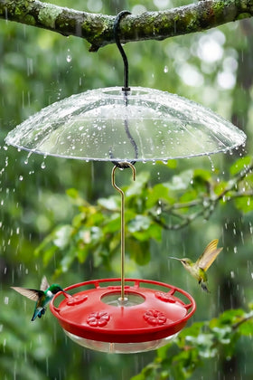 FEED GARDEN hummingbird feeder outdoors with leak-proof dome keeps nectar tidy for visiting birds.