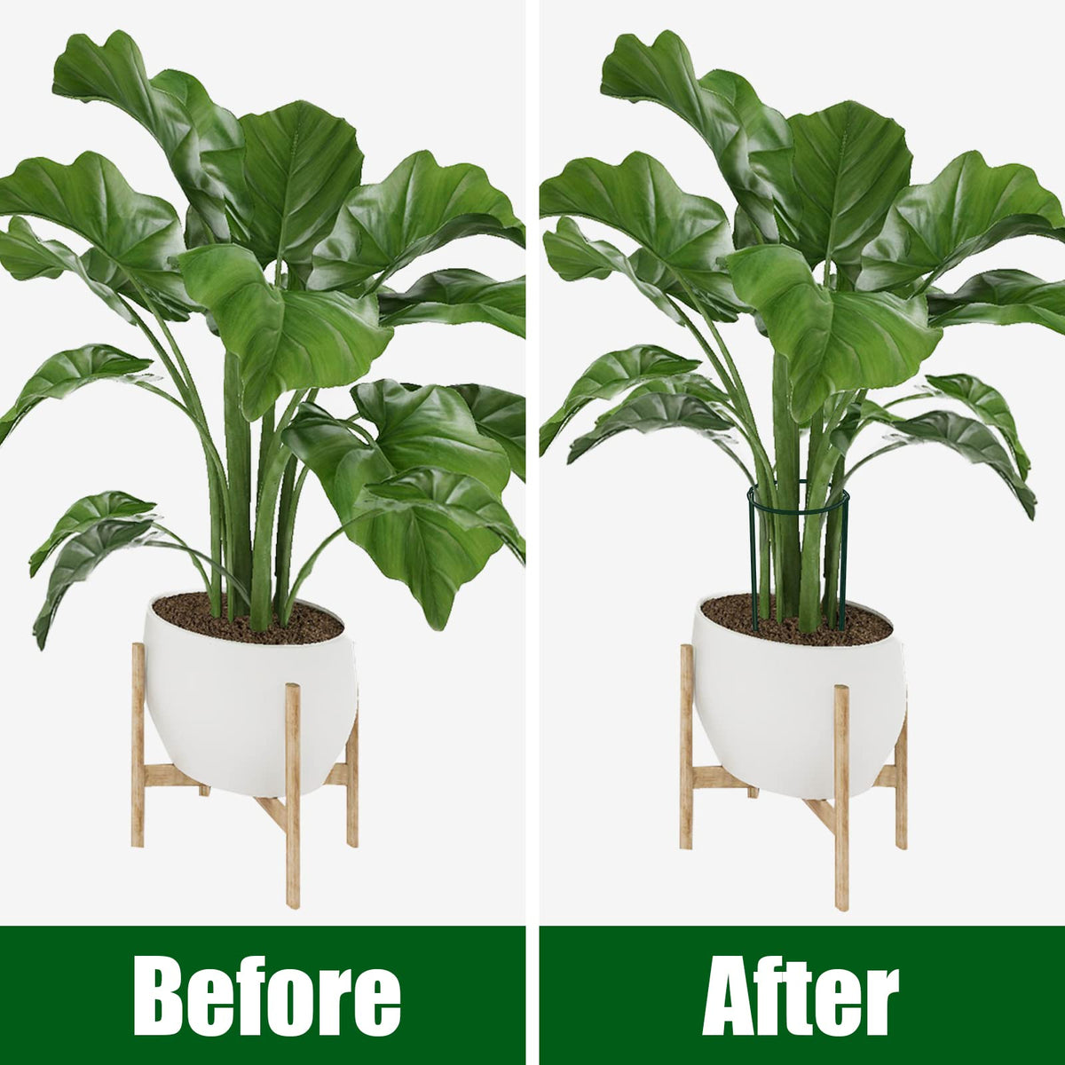 FEED GARDEN hydrangea-friendly stakes cradle heavy blooms without sagging