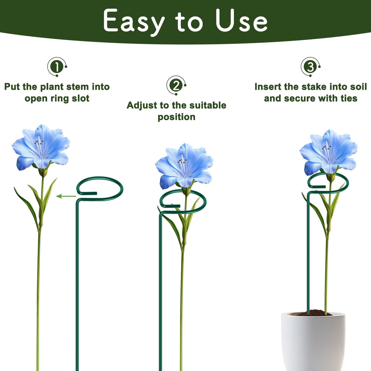 FEED GARDEN versatile stakes for indoor and outdoor gardening projects.