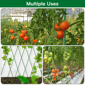FEED GARDEN ideal for indoor/outdoor use with tomatoes and beans.