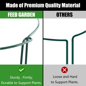FEED GARDEN plant support rings keep growth orderly.