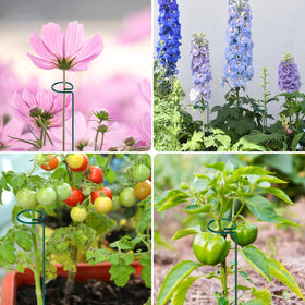 FEED GARDEN versatile stakes suitable for tomatoes, peonies, and gladiolus.