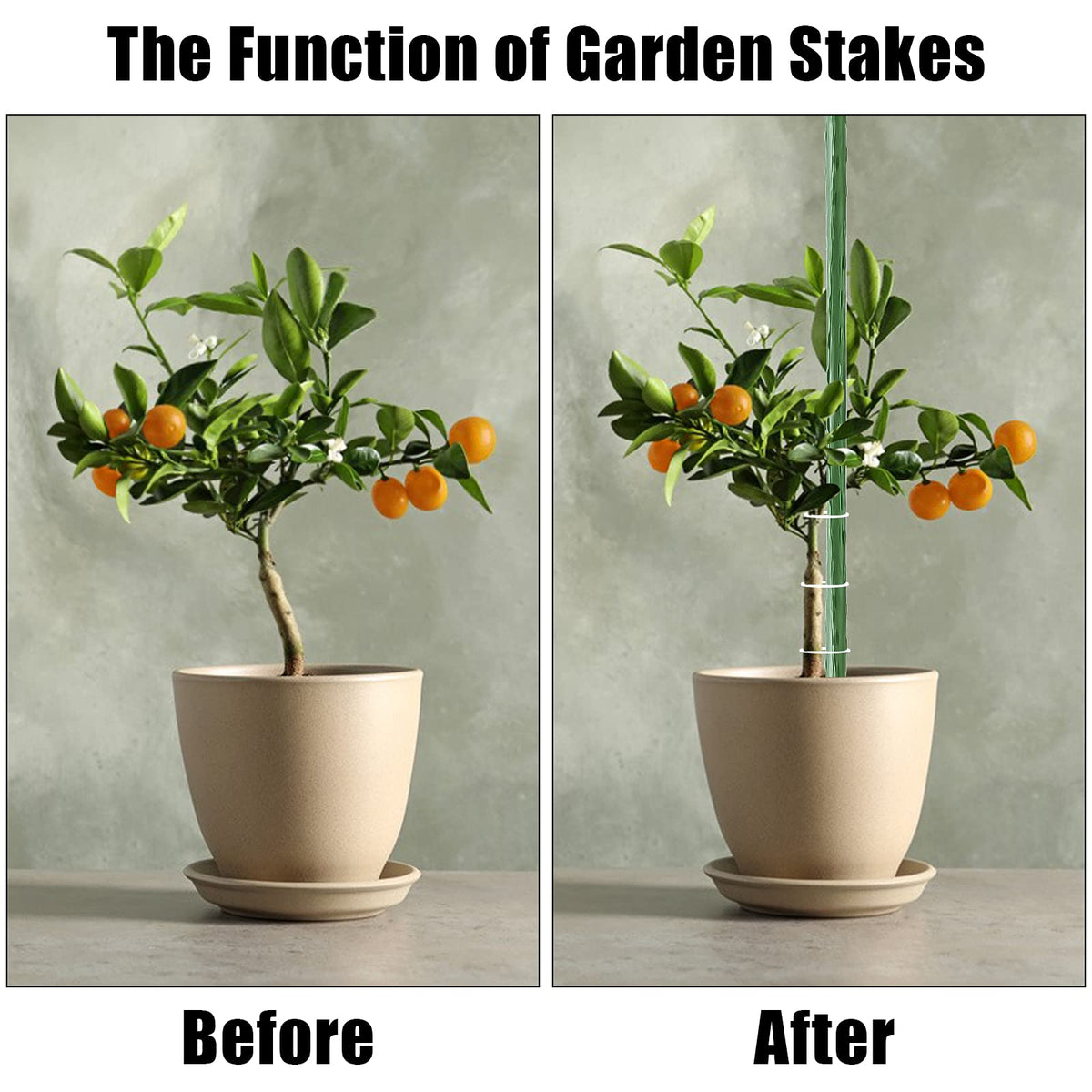 FEED GARDEN in-soil installation guides vertical growth for cucumbers and grapes.