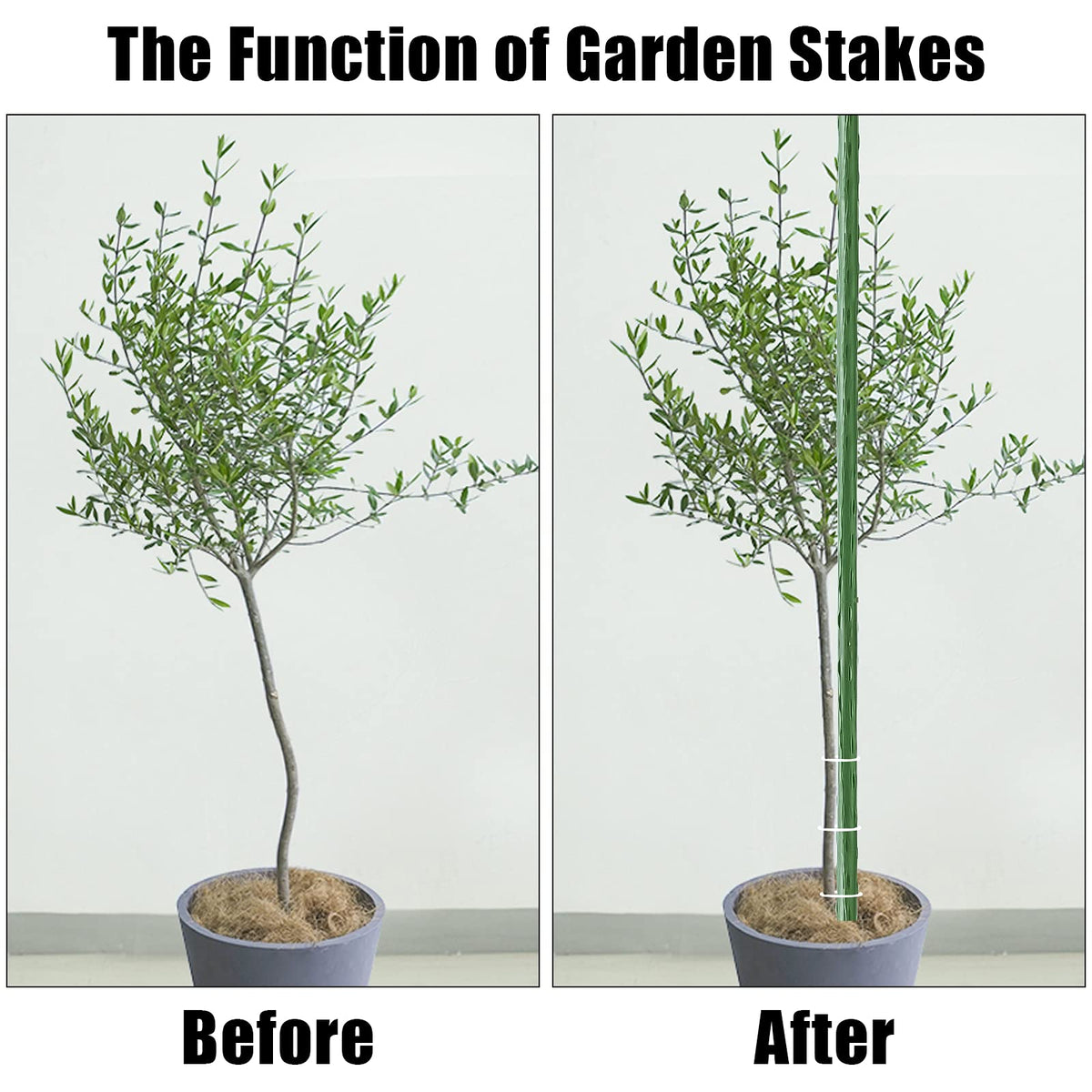 FEED GARDEN versatile vegetable crop stake supporting multiple plants.
