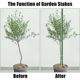 FEED GARDEN versatile vegetable crop stake supporting multiple plants.