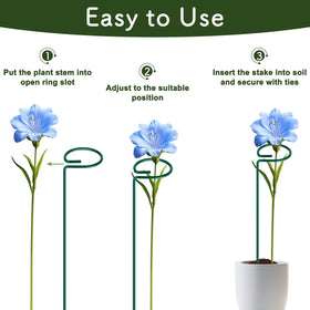 FEED GARDEN stem support keeps tall lilies and roses erect.