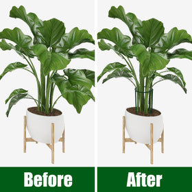 FEED GARDEN tomato and hydrangea support helps keep vines organized and upright.