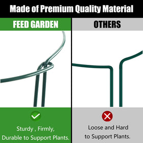FEED GARDEN tomato-plant support helps vines grow orderly and productive