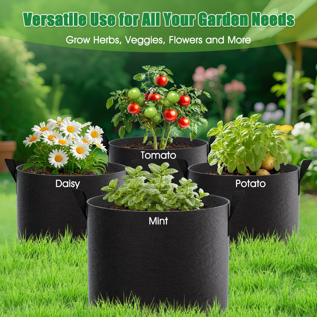 FEED GARDEN true 10-gallon capacity provides deep root space for tomatoes.