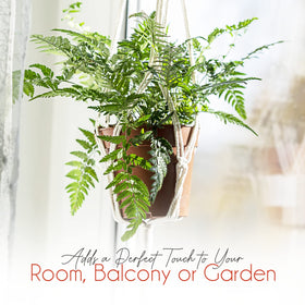 Feedee Macrame hanger in living room adds warm boho style