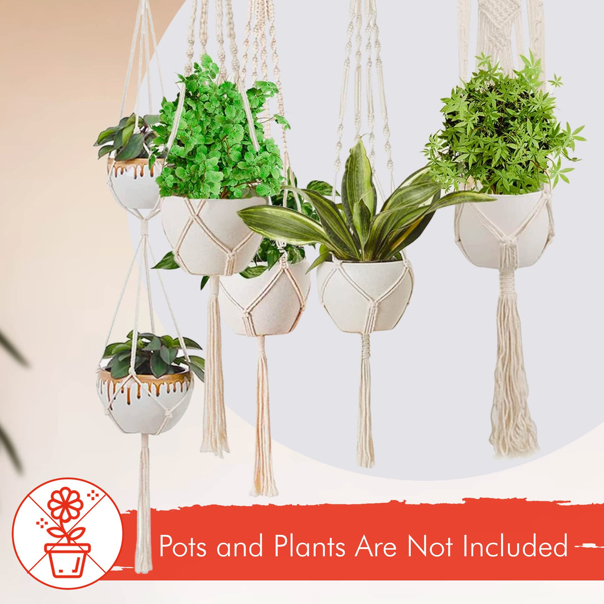 Feedee Macrame hanger demonstrates versatile fit for various pot sizes