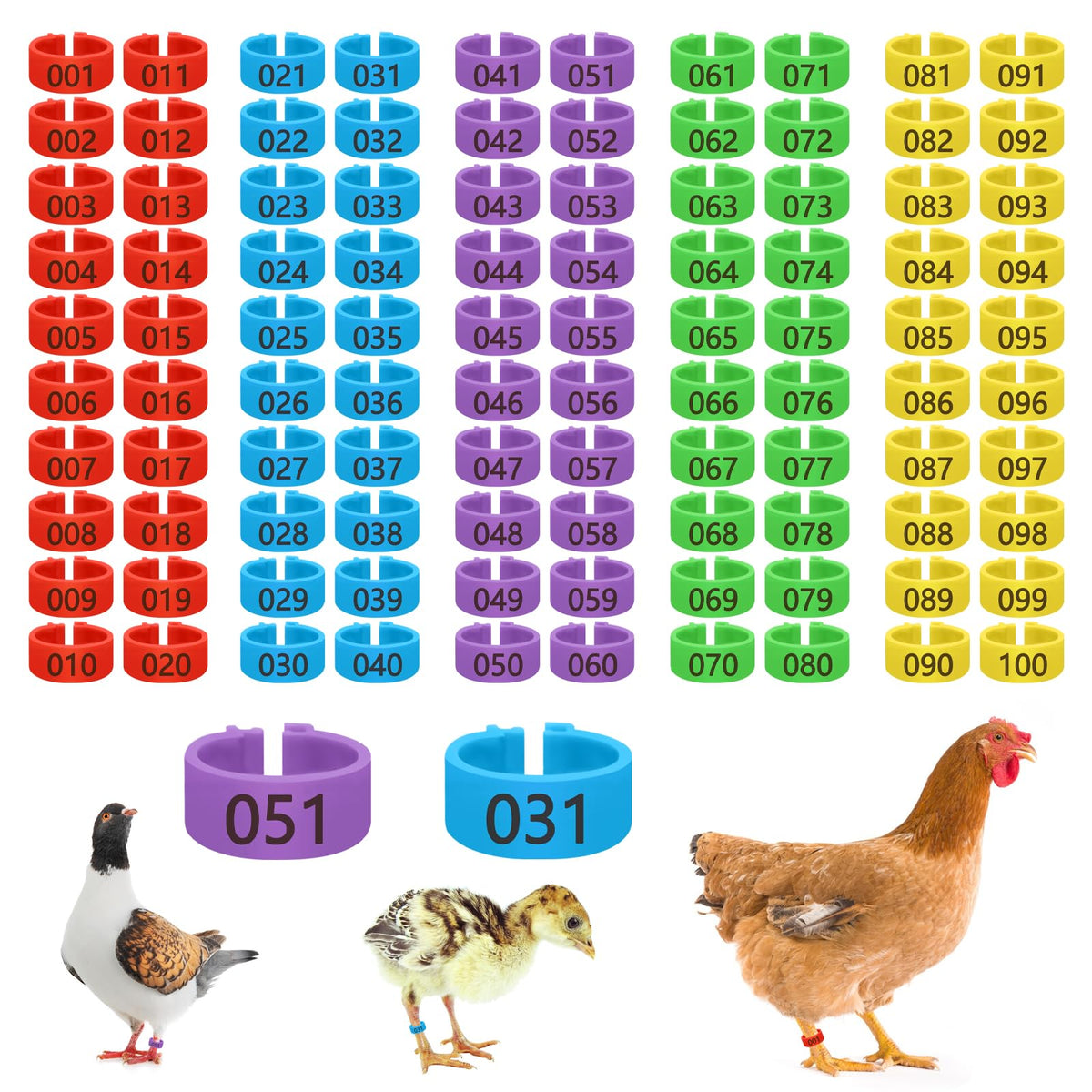 Feehope 100 Pcs 16mm chicken leg bands pack for flock tracking.
