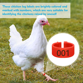 Feehope durable eco-plastic poultry bands withstand weather for long-lasting use.