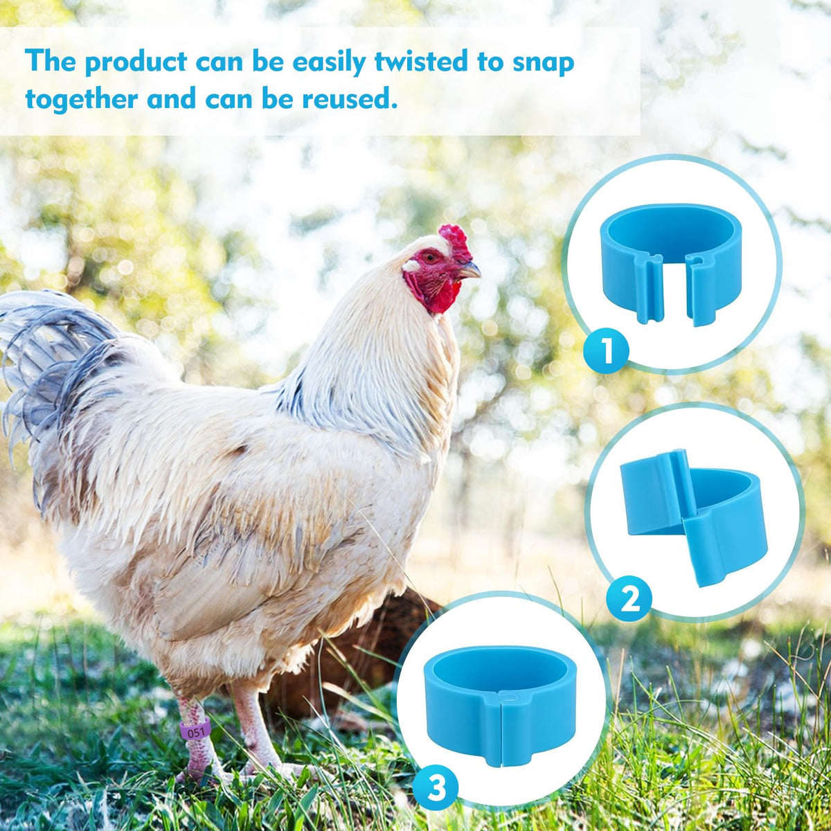 Feehope notched ring design leg bands provide secure, tool-free installation.