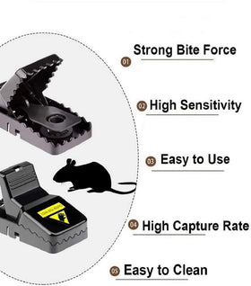 Feeke mouse trap in use indoors near pantry for efficient control.