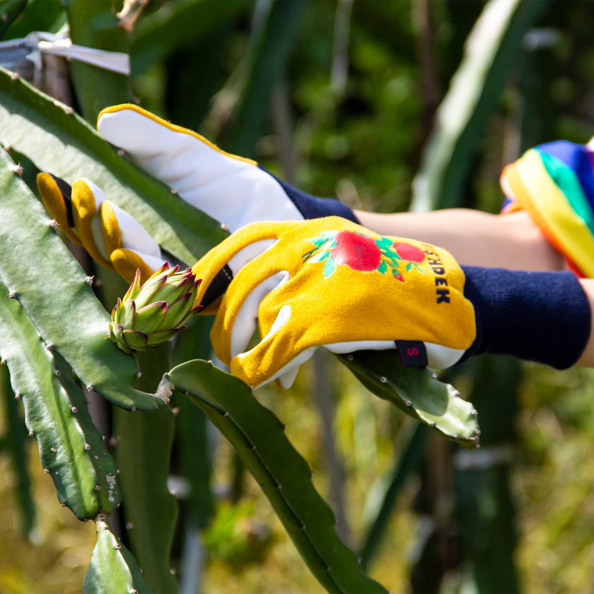FEISHDEK cactus gloves easy to clean leather care after gardening