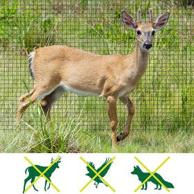 Feitore anti-bird netting 34-mesh protects fruits and vegetables without harming birds.